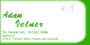 adam velner business card